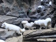 -郑州海洋馆