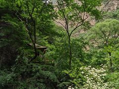 -龙门涧景区