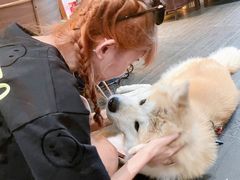 -BOCATA 西班牙餐厅(三里屯店)