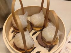 -金鼎轩(方庄天坛店)