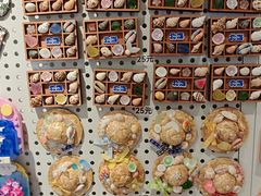 -椰椰大吉(侨港店)
