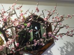 -麻辣因子滩羊火锅(世和广场店)