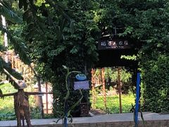 -三亚亚龙湾红树林度假酒店