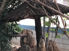 -石家庄市动物园