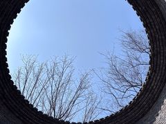 -朴园