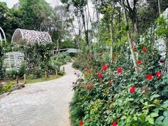 -深圳仙湖植物园