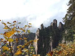 -三清山希尔顿度假酒店