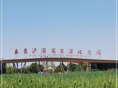 -西安浐灞国家湿地公园