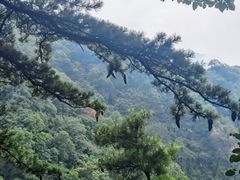 -沣峪口