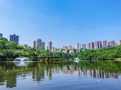 -重庆彩云湖湿地公园