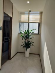 -云南吴氏嘉美医疗美容医院