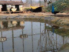 -河北村民俗体验园