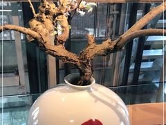 -穹六人间 people 6(岳阳路店)