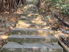 -小南山公园