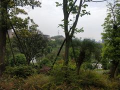 -东岳体育公园