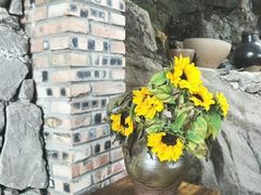 -远山有窑