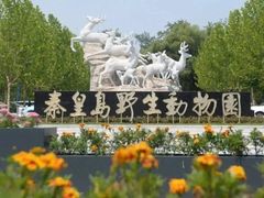 -秦皇岛野生动物园
