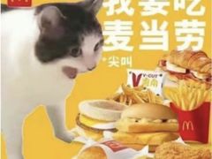-麦当劳(洪山商场店)
