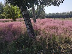 -汉长安城未央宫国家考古遗址公园