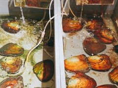 -十八字金·银饰·拼豆·开蚌DIY(魏公芳华里店)