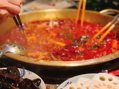 -小龙坎火锅(春熙太古里店)