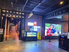 -CGV影城(壹方城IMAX店)