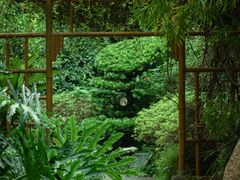 -广州兰圃