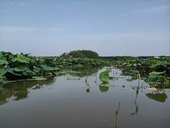 -洪湖生态旅游区