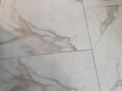 -金华安大酒楼·老牌潮菜·粤式茶点(东方国际店)