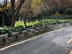 -上海市保健医疗中心(华东疗养院)