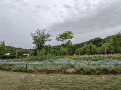 -苏州上方山国家森林公园
