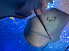 -太平洋海底世界