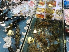 -七鲜渔港美食餐厅(巽寮湾海景店)