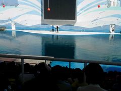 -北戴河圣蓝海洋公园