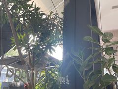 -gaga(深圳南山益田假日广场店)
