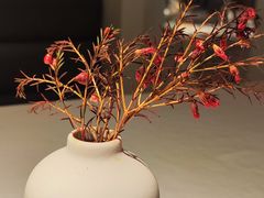 -春树下·树屋花房西餐厅(罍街AS1980店)