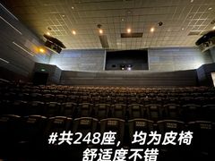 -卢米埃影城(合生广场IMAX店)
