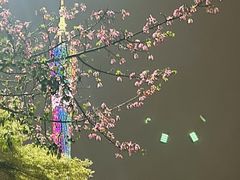 -海心沙亚运公园