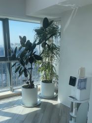 -HEYAN荷妍专业脱毛连锁机构