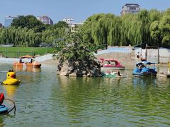 -团结湖公园
