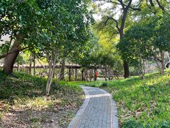 -徐家汇源景区-衡山公园