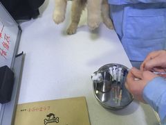 -西安京西宠物医院·瘫痪·疑难杂症