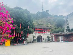 -乌山风景区