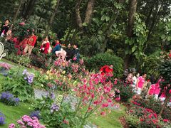 -深圳仙湖植物园