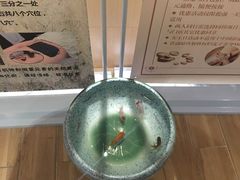 -麦子MaiMassage(打浦桥店)