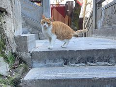 -终南山南五台景区