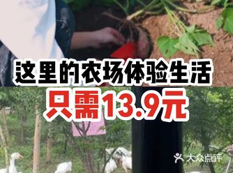 这里的农场体验生活只需13.9元