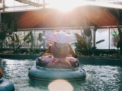 -南宫五洲植物乐园