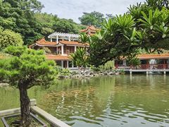 -深圳仙湖植物园