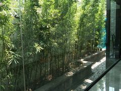 -竹雨堂创意中国菜(裕华店)